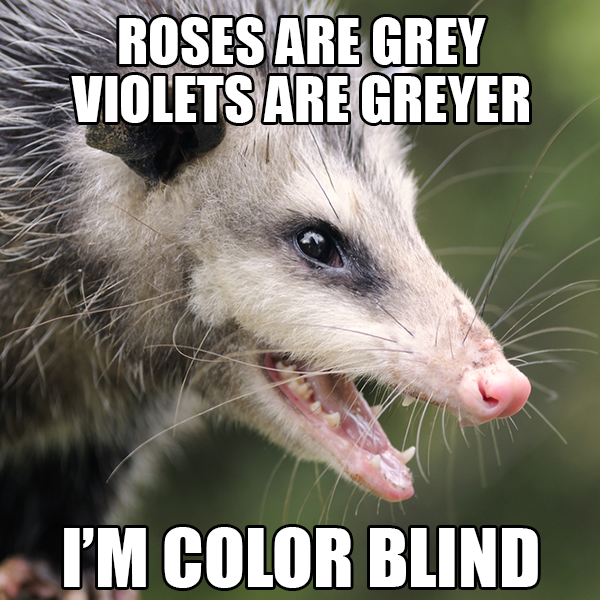 I'm color blind