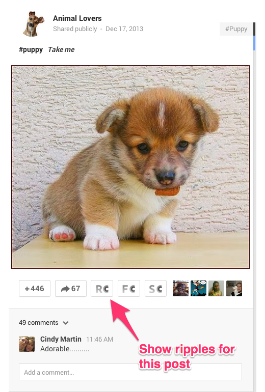 circlecount.com