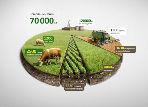 3d infographic