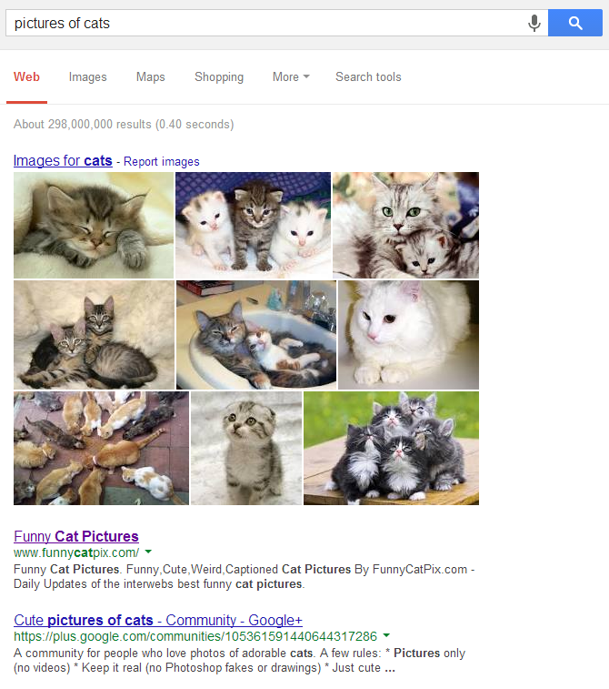 An image of Google Web Search displaying Image Results above Web Results