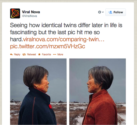 viral nova twitter