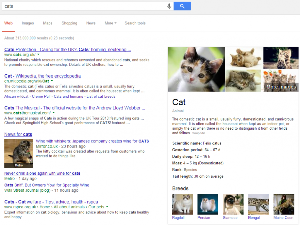 Google Web Search with Knowledge Graph on Right Hand Side, showing relevant Images